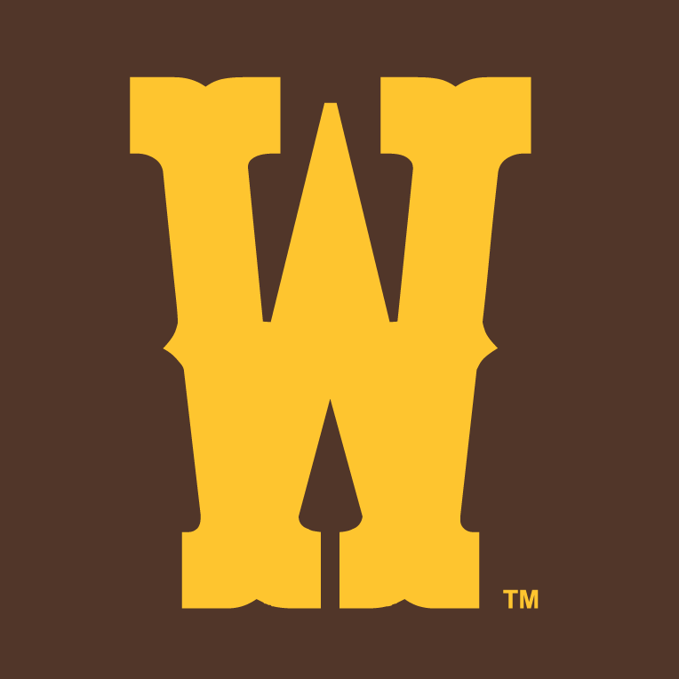 Wyoming Cowboys 2013-Pres Secondary Logo t shirts iron on transfers v2